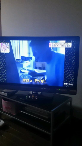 Illustration for article titled Dumb Japanese News Show Falls for Angry German Kid Video